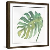 Tropical Palm IV-Chris Paschke-Framed Art Print