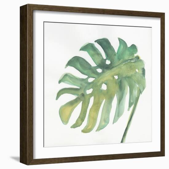 Tropical Palm IV-Chris Paschke-Framed Art Print