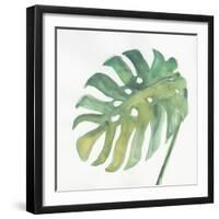 Tropical Palm IV-Chris Paschke-Framed Art Print