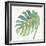 Tropical Palm IV-Chris Paschke-Framed Art Print