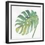 Tropical Palm IV-Chris Paschke-Framed Art Print