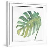 Tropical Palm IV-Chris Paschke-Framed Art Print