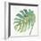 Tropical Palm IV-Chris Paschke-Framed Art Print