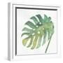 Tropical Palm IV-Chris Paschke-Framed Art Print