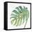 Tropical Palm IV-Chris Paschke-Framed Stretched Canvas