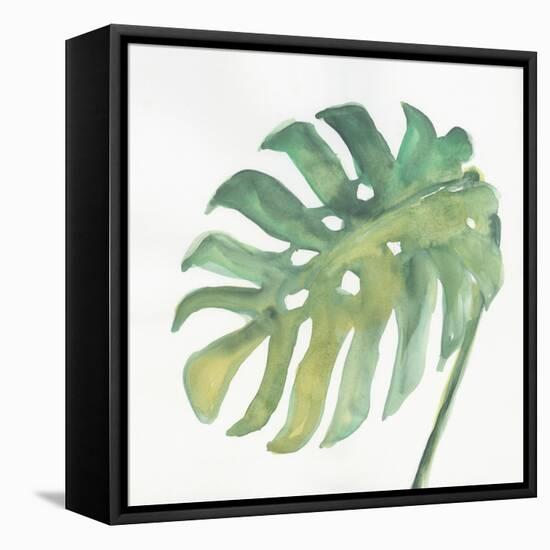 Tropical Palm IV-Chris Paschke-Framed Stretched Canvas
