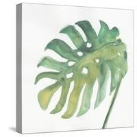 Tropical Palm IV-Chris Paschke-Stretched Canvas