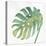 Tropical Palm IV-Chris Paschke-Stretched Canvas