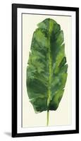 Tropical Palm Leaf III-Kim Johnson-Framed Giclee Print