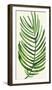 Tropical Palm Leaf IV-Kim Johnson-Framed Giclee Print