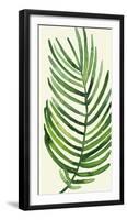 Tropical Palm Leaf IV-Kim Johnson-Framed Giclee Print