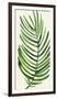 Tropical Palm Leaf IV-Kim Johnson-Framed Giclee Print