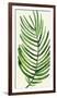 Tropical Palm Leaf IV-Kim Johnson-Framed Giclee Print