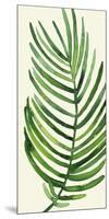 Tropical Palm Leaf IV-Kim Johnson-Mounted Giclee Print