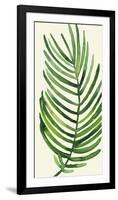 Tropical Palm Leaf IV-Kim Colthurst Johnson-Framed Giclee Print