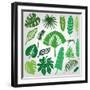 Tropical Palm Leaves,Branches Set.Silhouette,Green-Tatiana_Kost49-Framed Art Print