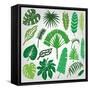 Tropical Palm Leaves,Branches Set.Silhouette,Green-Tatiana_Kost49-Framed Stretched Canvas