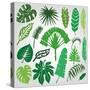 Tropical Palm Leaves,Branches Set.Silhouette,Green-Tatiana_Kost49-Stretched Canvas