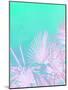 Tropical Paradise - Aqua and Pink-Dominique Vari-Mounted Art Print