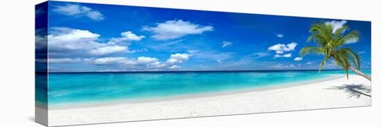 Tropical Paradise Beach with White Sand and Coco Palms Travel Tourism Wide Panorama Background Conc-stockphoto-graf-Stretched Canvas