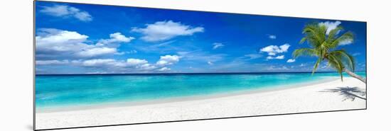 Tropical Paradise Beach with White Sand and Coco Palms Travel Tourism Wide Panorama Background Conc-stockphoto-graf-Mounted Photographic Print