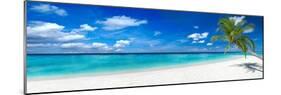 Tropical Paradise Beach with White Sand and Coco Palms Travel Tourism Wide Panorama Background Conc-stockphoto-graf-Mounted Photographic Print