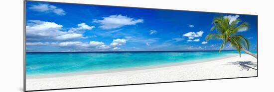 Tropical Paradise Beach with White Sand and Coco Palms Travel Tourism Wide Panorama Background Conc-stockphoto-graf-Mounted Photographic Print