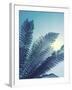 Tropical Paradise I-Ella Lancaster-Framed Giclee Print