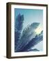 Tropical Paradise I-Ella Lancaster-Framed Giclee Print