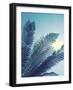 Tropical Paradise I-Ella Lancaster-Framed Giclee Print