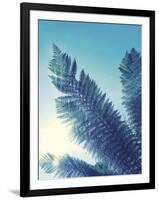 Tropical Paradise II-Ella Lancaster-Framed Giclee Print