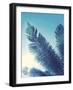 Tropical Paradise II-Ella Lancaster-Framed Giclee Print