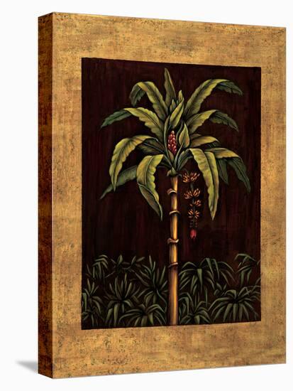 Tropical Paradise II-Samuel Blanco-Stretched Canvas