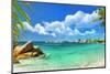 Tropical Paradise - Seychelles Islands, Panoramic View-Maugli-l-Mounted Photographic Print