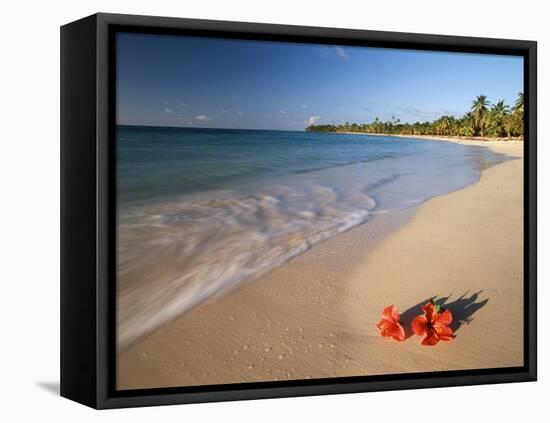 Tropical Paradise, Tabyana Beach, Roatan, Honduras-Stuart Westmorland-Framed Stretched Canvas