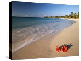 Tropical Paradise, Tabyana Beach, Roatan, Honduras-Stuart Westmorland-Stretched Canvas