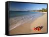 Tropical Paradise, Tabyana Beach, Roatan, Honduras-Stuart Westmorland-Framed Stretched Canvas