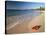 Tropical Paradise, Tabyana Beach, Roatan, Honduras-Stuart Westmorland-Stretched Canvas