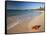 Tropical Paradise, Tabyana Beach, Roatan, Honduras-Stuart Westmorland-Framed Stretched Canvas