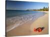 Tropical Paradise, Tabyana Beach, Roatan, Honduras-Stuart Westmorland-Stretched Canvas