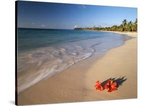 Tropical Paradise, Tabyana Beach, Roatan, Honduras-Stuart Westmorland-Stretched Canvas