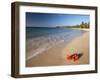 Tropical Paradise, Tabyana Beach, Roatan, Honduras-Stuart Westmorland-Framed Premium Photographic Print