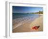 Tropical Paradise, Tabyana Beach, Roatan, Honduras-Stuart Westmorland-Framed Premium Photographic Print