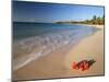 Tropical Paradise, Tabyana Beach, Roatan, Honduras-Stuart Westmorland-Mounted Photographic Print