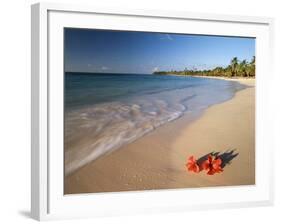 Tropical Paradise, Tabyana Beach, Roatan, Honduras-Stuart Westmorland-Framed Photographic Print