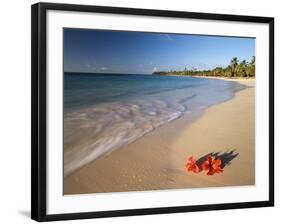 Tropical Paradise, Tabyana Beach, Roatan, Honduras-Stuart Westmorland-Framed Photographic Print