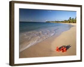 Tropical Paradise, Tabyana Beach, Roatan, Honduras-Stuart Westmorland-Framed Photographic Print