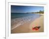 Tropical Paradise, Tabyana Beach, Roatan, Honduras-Stuart Westmorland-Framed Photographic Print