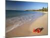 Tropical Paradise, Tabyana Beach, Roatan, Honduras-Stuart Westmorland-Mounted Photographic Print