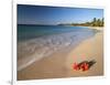 Tropical Paradise, Tabyana Beach, Roatan, Honduras-Stuart Westmorland-Framed Photographic Print